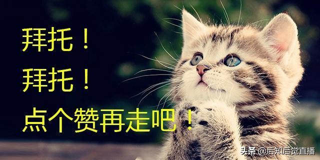 区块链概念股有哪些?2019区块链概念龙头股一览