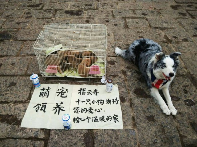 八个最火爆地摊项目,赚钱就是如此简单,快来学